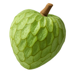 Cherimoya isolated on transparent background