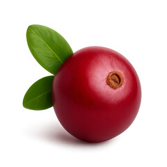 Cranberry isolated on transparent background