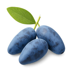 Haskap isolated on transparent background