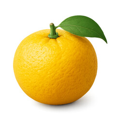 Yuzu isolated on transparent background