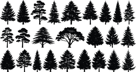 tree silhouette,forest icon,nature shape,black tree,pine tree,oak silhouette,vector design,leafless tree,conifer shape,graphic tree,isolated tree,stylized tree,tree graphic,tree icon,tree vector