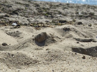 A close-up of textured beach sand