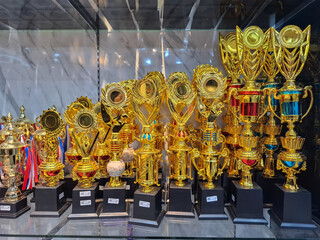 Golden trophies with black bases neatly arranged in a glass display case, representing success,...