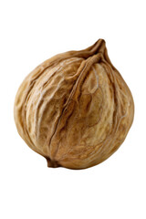 Close-up View of a Single Filbert Nut on Transparent Background