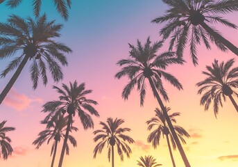 Tropical palm trees against a gradient sunset sky