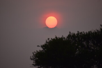 sunset in savanna, Tanzania