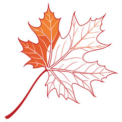 Minimalist single maple leaf illustration with clean lines and autumn colors perfect for seasonal design projects