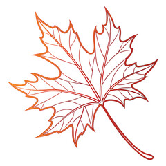 Minimalist single maple leaf vector illustration in autumn colors with clean lines