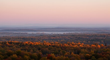 A breathtaking aerial perspective of a vibrant autumn forest shrouded in morning mist under a gentle pink sunrise sky