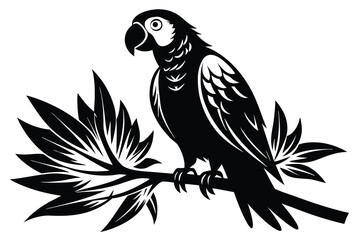 Black Silhouette Parrot Bird on Branch with Tropical Leaves on White