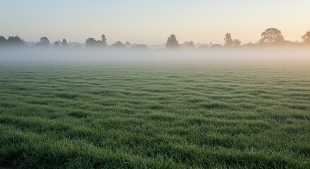 Misty Meadow Sunrise Serene Landscape Photography
