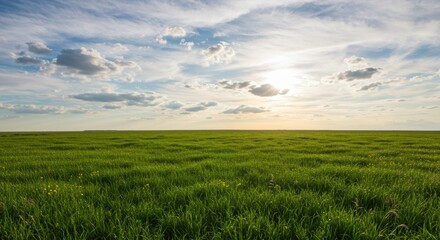 Obraz premium Vast Green Field Under a Cloudy Sky at Sunset A Peaceful Landscape