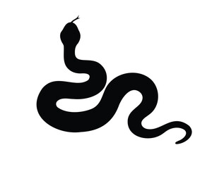 Fototapeta premium Sinuous Black Snake Silhouette on White Background with Raised Head and Tongue