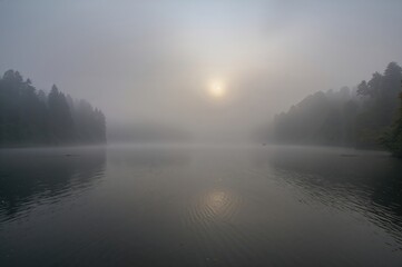 Fototapeta premium A Foggy Dawn Over a Shadowy Lake