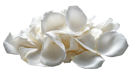 Close-up of a cluster of white rose petals