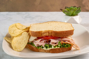 tu8rkey sandwich with   tomato and swiss cheese