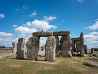 black bird on ancient ruins of stonehenge under blue sky