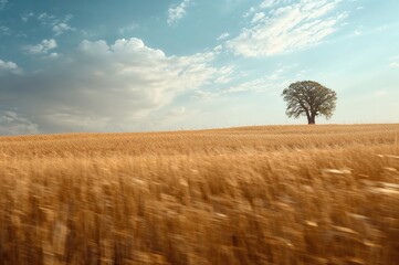 A scenic view of a reaped meadow mirrored by the calm heavens overhead.