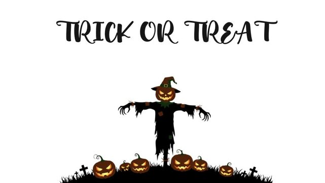 Trick or Treat Pumpkin Man Animation on White Background