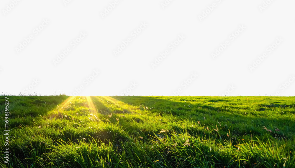 Poster grassy field bathed in sunlight with rays shining through creating a warm and inviting atmosphere on