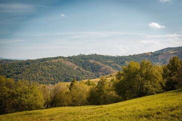 Naklejka premium A scenic view featuring hills and trees