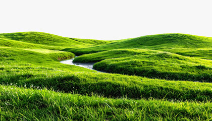 Serene grassy hill with gentle stream flowing through lush landscape and space for text on white background