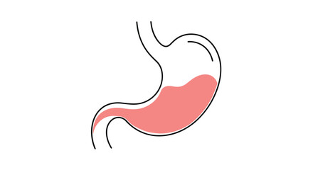 Fototapeta premium Understanding the human digestive system and its crucial role in nutrient absorption and energy production for bodily functions