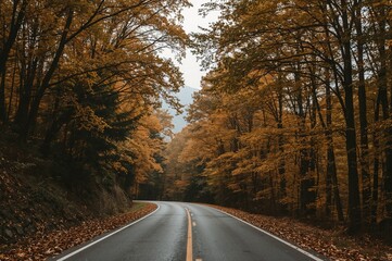 Fototapeta premium A street lined with trees on both sides