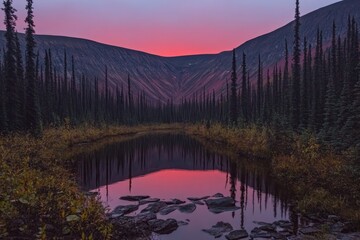 Stunning sunset over a tranquil forested valley with a reflective pond and towering trees