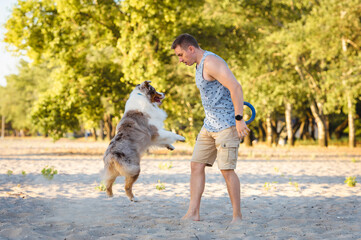 Lifestyle action photo of athletic looking slavic man playing with his active red merle australian...