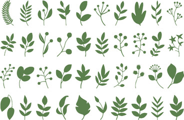 set of 40 green leaf vectors botanical illustrations ai eps jpeg png plant nature foliage icons