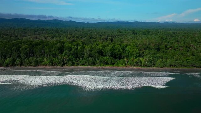 Untouched remote pristine coastline waves Cape Wom Papua New Guinea PNG aerial drone Madang Wewak Kavieng Vanimo Tufi sunny beach blue sky tranquil tropical shoreline East Sepik Province downward pan