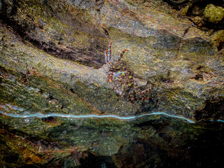 Koh Samet, a tropical island in Thailand famous for its white sandy beaches, crystal-clear waters, and relaxing holiday atmosphere.