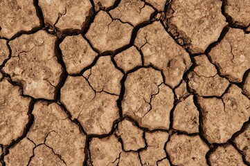 Fototapeta premium Detailed view of arid soil, parched ground surface