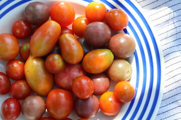 Colorful Cherry Tomatoes on a Plate Outdoors – Fresh Summer Harvest
