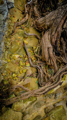 Koh Samet, a tropical island in Thailand famous for its white sandy beaches, crystal-clear waters, and relaxing holiday atmosphere.