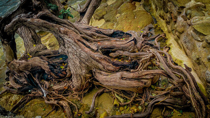 Koh Samet, a tropical island in Thailand famous for its white sandy beaches, crystal-clear waters, and relaxing holiday atmosphere.