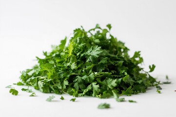 Fototapeta premium A heap of fresh green herbs stacked together, featuring parsley, cilantro, and dill.
