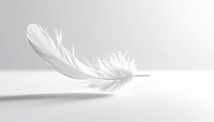 Fototapeta premium A Soft White Feather Symbolizing Peace and Lightness