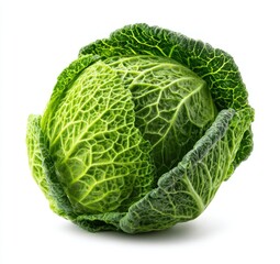 Textured green Savoy cabbage head, detailed surface, resting on a white backdrop with a subtle shadow