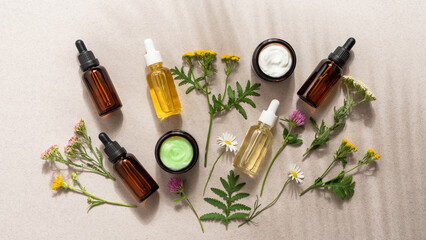 Various skin care beauty cosmetics flat lay in sunlight with wild flowers on beige background. Serum and essential oils in dropper bottles, moisturizing and anti-aging cream in jar. Top view.