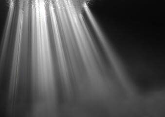 Rays of bright light cascade diagonally down from the upper left against a dark background, creating a dramatic and ethereal atmosphere