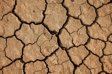 Fototapeta premium Close-up of parched soil texture displaying detailed drought patterns and prominent dark cracks.