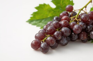 Obraz premium Close-up of dark grapes with leaves on a plain white surface, isolated fruit for wine and nature themes