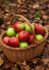 Rustic Fall Harvest Scene Featuring Apples, Yellow Leaves, and Earthy Textures