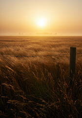 Serene Countryside Landscape Featuring Foggy Horizon and Wooden Fence Post