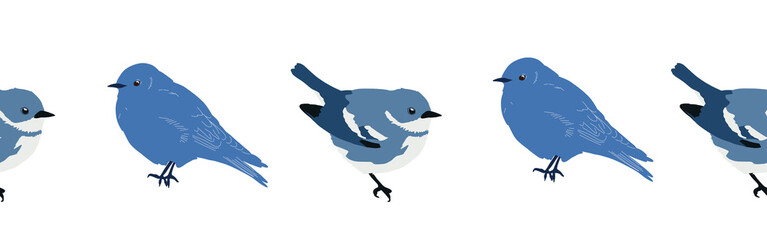 Bird con border. Bird feather silhouette symbol. Bird border isolated on a white background