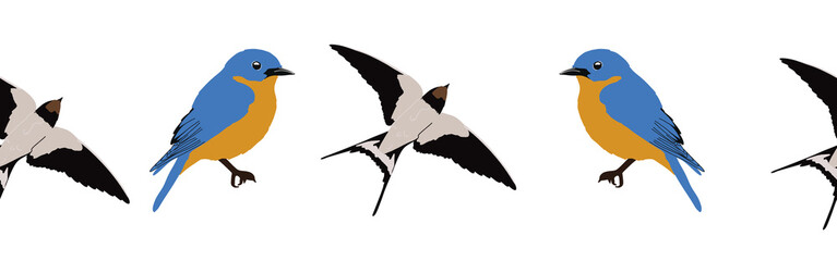 Bird con border. Bird feather silhouette symbol. Bird border isolated on a white background