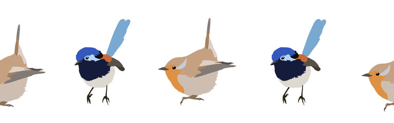 Bird con border. Bird feather silhouette symbol. Bird border isolated on a white background