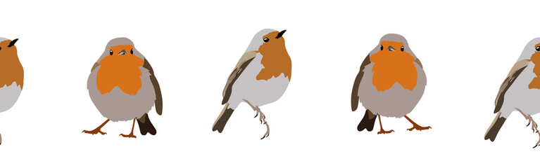 Bird con border. Bird feather silhouette symbol. Bird border isolated on a white background